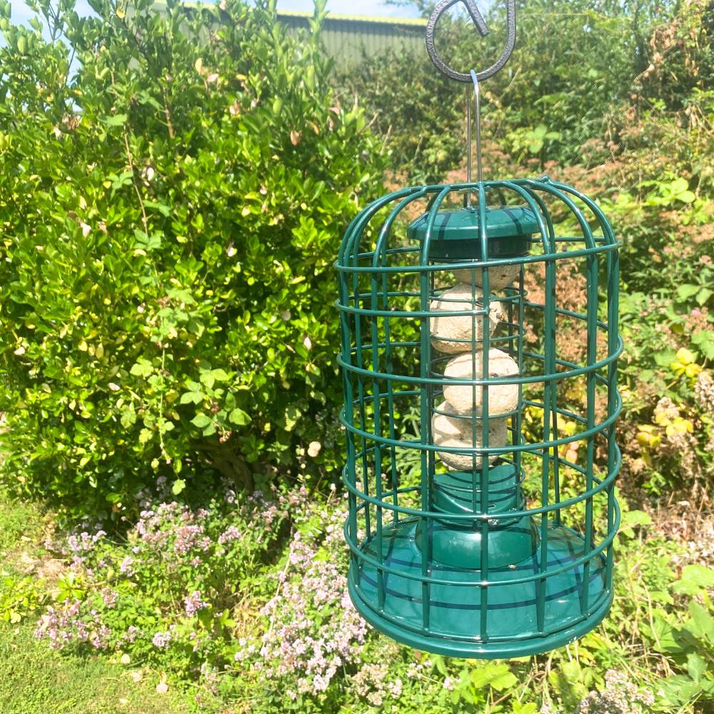 Guardian Squirrel Proof Fat Ball Feeder